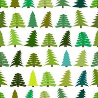 Seamless pattern with spruces on white background. Vector illustration