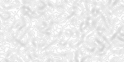 Topographic map lines background, geographic abstract grid, vector illustration