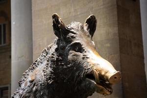 Florence, Italy - the antique pig statue, symbol of good luck. photo