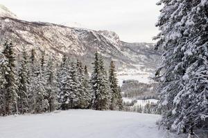 Beautiful norwegian winter landscape from ski slope on valley of Hemsedal Buskerud Norway,seasonal postcard,wallpaper,print for canvas,cover design photo