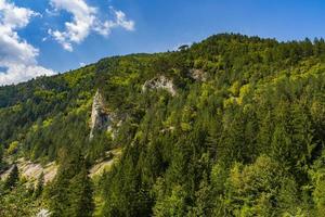 Tara mountain in Serbia photo