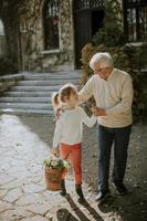 Grandfather having fun with his little granddaughter who holding basket full of flowers photo