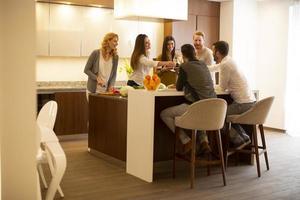 Group of young people preparing meal, drinking white wine and having a good time photo