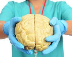 Female doctor holding a human brain model against white background photo