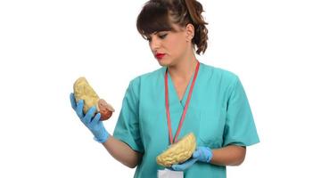 Female doctor holding a human brain model against white background photo