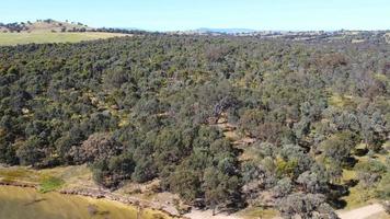 las imágenes del punto de vista del dron aéreo de ángulo alto a ángulo bajo en la reserva de aguas de bowna son un parque natural en la costa del lago hume, un lugar popular para botar botes en albury, nsw, australia. video