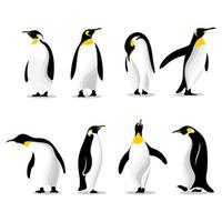 lindos pingüinos en diferentes poses ilustración vectorial vector