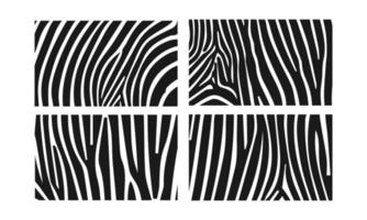 Zebra animal skin print vector