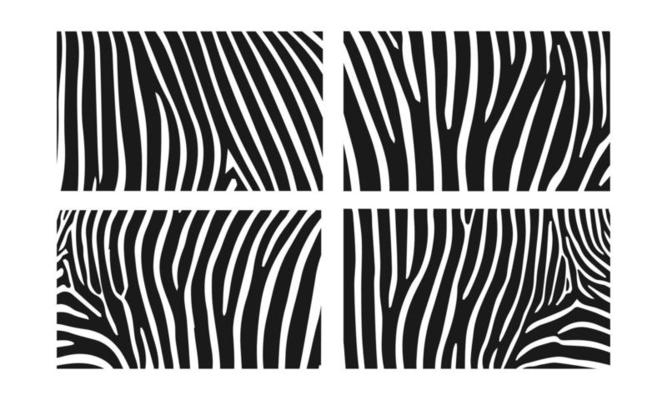 vector skin zebra texture