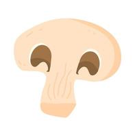 brown mushrooms graphic illustration vector