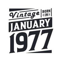 Vintage born in January 1977. Born in January 1977 Retro Vintage Birthday vector