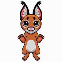 Cute caracal cat cartoon standing vector