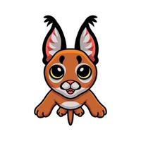 lindo, caracal, gato, caricatura, posar vector