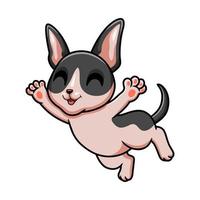 Cute cat cornish rex cartoon vector