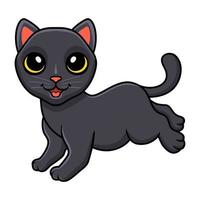 Cute bombay cat cartoon posing vector