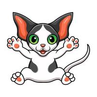 lindo, oriental, gato, caricatura, sentado vector