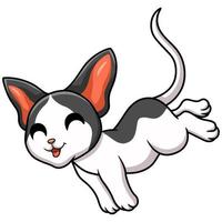 Cute oriental cat cartoon jumping vector