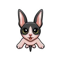 Cute cat cornish rex cartoon vector