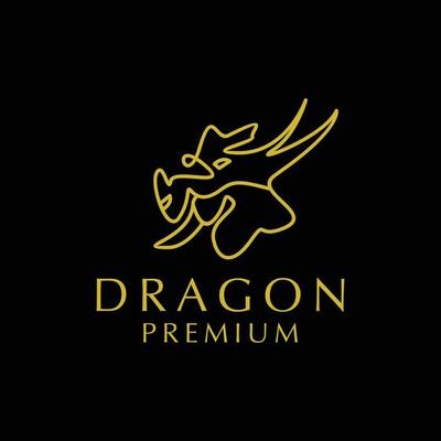 Premium Vector  Dragon logo template