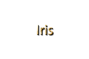 iris texto 3d png