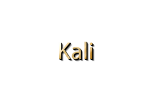 KALI NAME 3D png