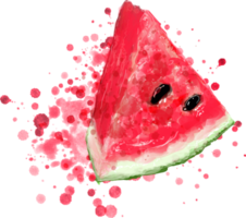 vattenmelon vattenfärg illustration. png