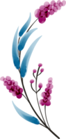 blomma akvarell transparent. png