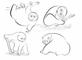 set loris funny outline vector element for illustration