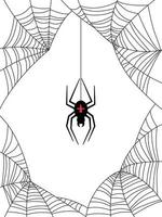 Scary spider with a web on a white background vector