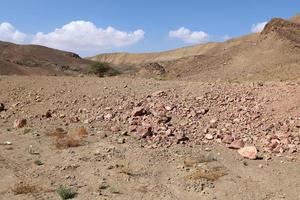 The Negev is a desert in the Middle East, located in the south of Israel. photo