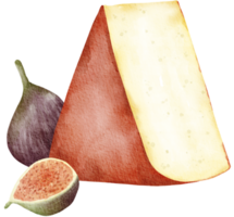 aquarelle vin et fromage clipart, png