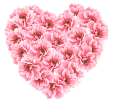 Valentine's Flower watercolor clipart png