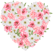 San Valentino fiore acquerello clipart png