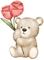 acquerello San Valentino giorno orsacchiotto orso png