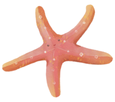 sous la mer clipart aquarelle, png