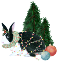 Watercolor Rabbit Year Chinese New Year hand paint png