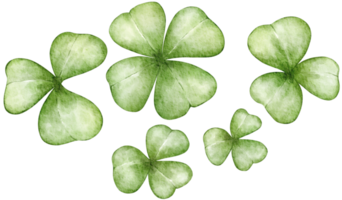 Lycklig St Patrick's dag vattenfärg element png