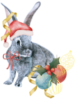 Watercolor Rabbit Year Chinese New Year hand paint png