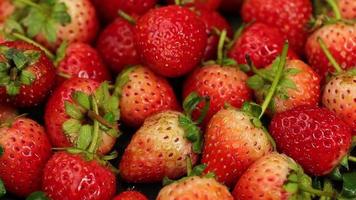 Ripe strawberries are red in color with a sweet and sour taste. Red strawberry, red strawberries, strawberries fruits, strawberry