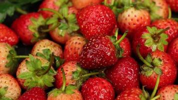 rijp aardbeien zijn rood in kleur met een zoet en verzuren smaak. rood aardbei, rood aardbeien, aardbeien fruit, aardbei video