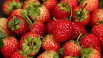las fresas maduras son de color rojo con un sabor agridulce. fresa roja, fresas rojas, fresas frutas, fresa video