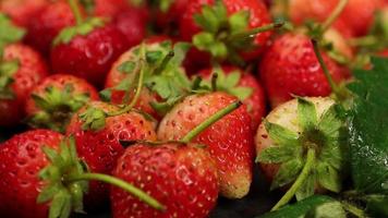 rijp aardbeien zijn rood in kleur met een zoet en verzuren smaak. rood aardbei, rood aardbeien, aardbeien fruit, aardbei video