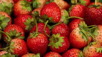 Ripe strawberries are red in color with a sweet and sour taste. Strawberry video