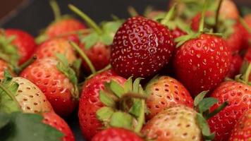 rijp aardbeien zijn rood in kleur met een zoet en verzuren smaak. rood aardbei, rood aardbeien, aardbeien fruit, aardbei video