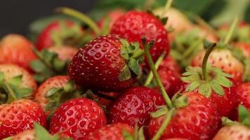 Red strawberry, ripe strawberries fruits video