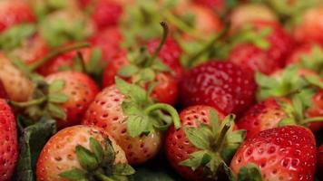 mogen jordgubbar är röd i Färg med en ljuv och sur smak. röd jordgubbe, röd jordgubbar, jordgubbar frukter, jordgubb video