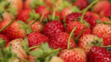 Ripe strawberries are red in color with a sweet and sour taste. Red strawberry, red strawberries, strawberries fruits, strawberry video
