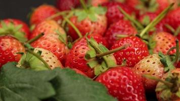 rijp aardbeien zijn rood in kleur met een zoet en verzuren smaak. rood aardbei, rood aardbeien, aardbeien fruit, aardbei video