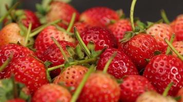mogen jordgubbar är röd i Färg med en ljuv och sur smak. röd jordgubbe, röd jordgubbar, jordgubbar frukter, jordgubb video