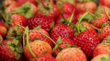 Reife Erdbeeren haben eine rote Farbe und einen süß-sauren Geschmack. rote erdbeere, rote erdbeeren, erdbeerfrüchte, erdbeere video